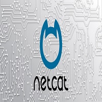 Netcat: Computer da remoto e comandi